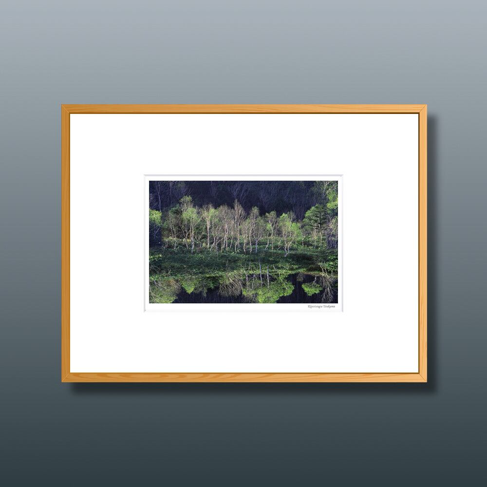 森の扉 #13 ■額縁サイズ(八切判)303㎜×242㎜