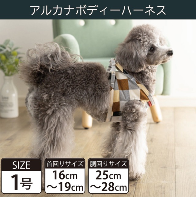 Toto&Pal(トトパル) ボディーハーネス・アルカナ(1号)