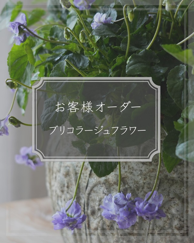 【お客様オーダー花苗セット】35cm用コエビ草リースセット