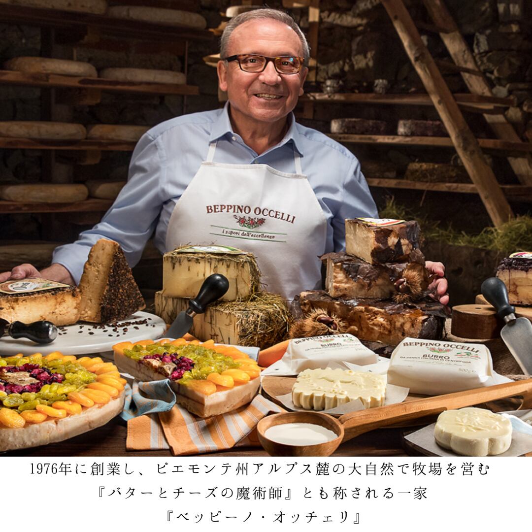 パピリオ・ホスピトン（イタリア産、1オス） 【公式通販】