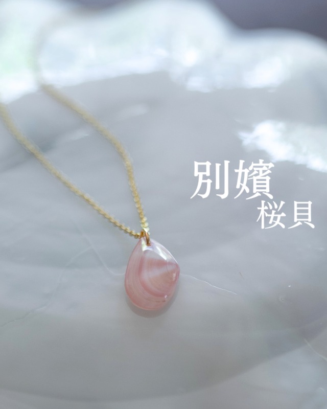 【別嬪桜貝】さくらひとえ ネックレス 14KGF モモノハナガイ #061112