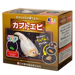 【特価処分】ニチドウ 飼育観察セット カブトエビ