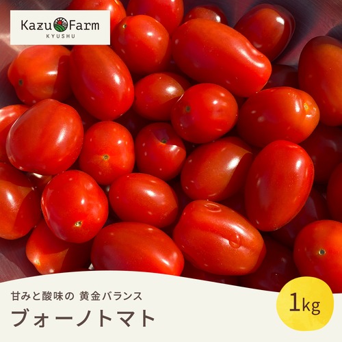 【予約販売：12月から】ブォーノトマト 2㎏