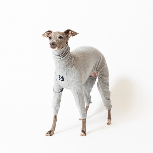 コットンロンパース2023　gray / イタグレ服