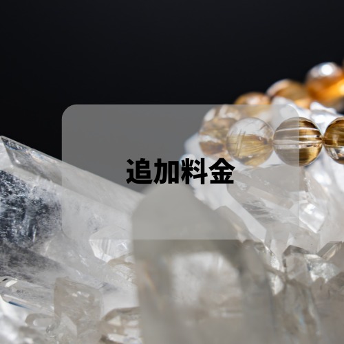 【rihoko_ixchel様専用】追加料金