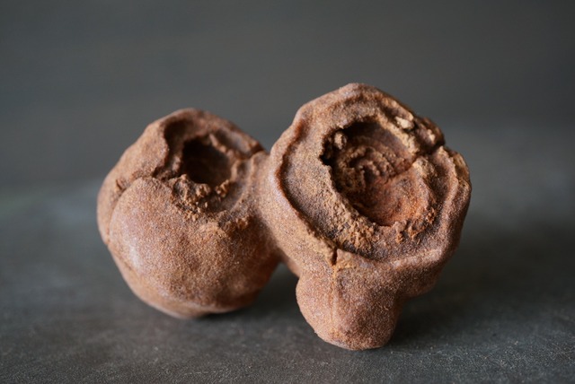 モロッコ産ストロマトライト Stromatolite 1194