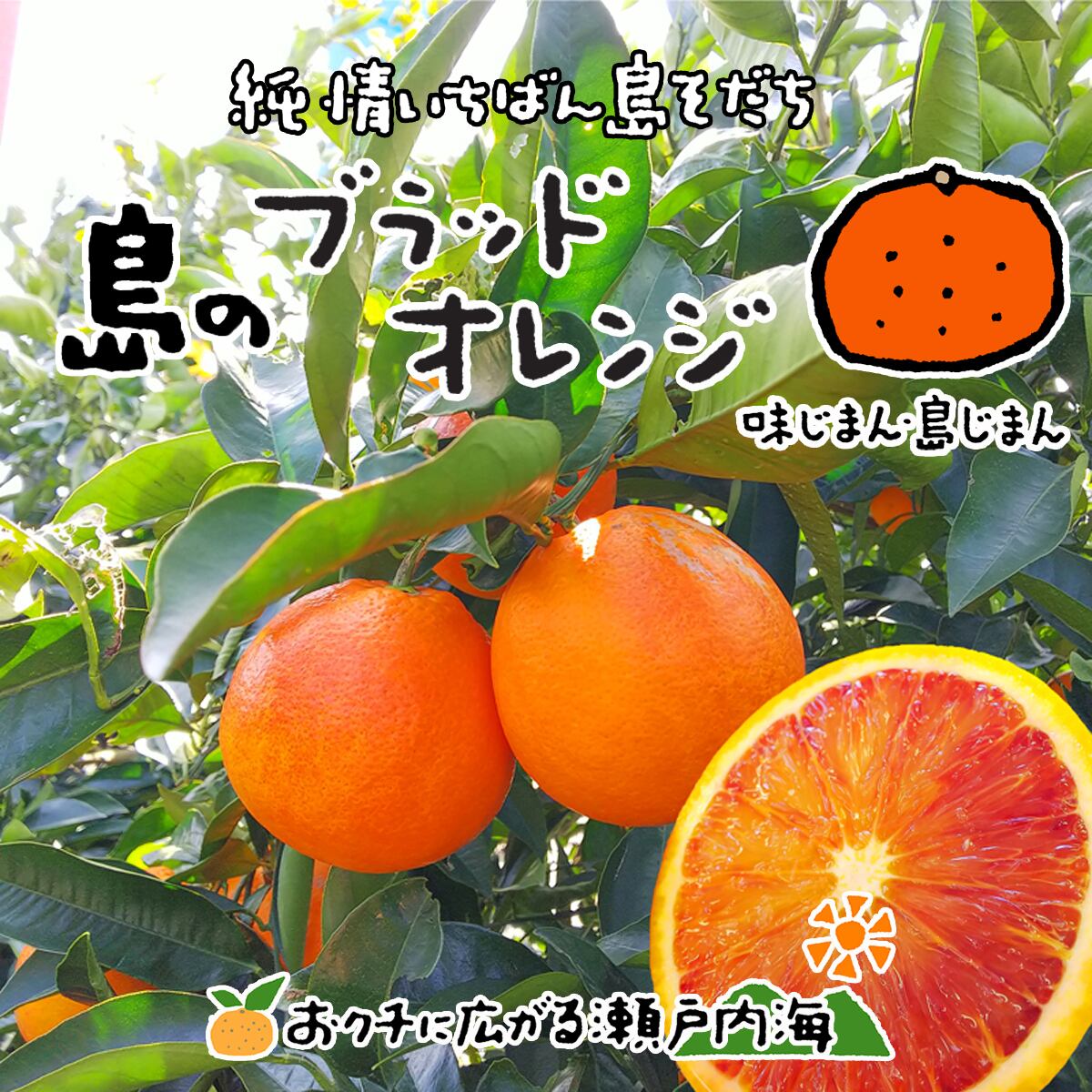 みかんの楽園 希望の島