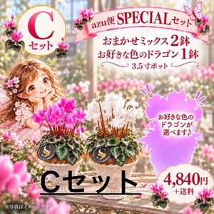AZU便 SPECIAL｜Cセット