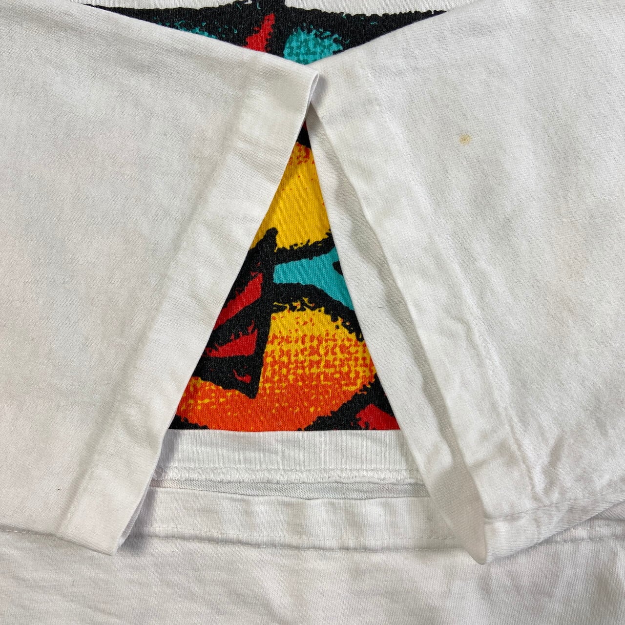 80's 90's クレイジーシャツ  サンディエゴ　シングルステッチTシャツ