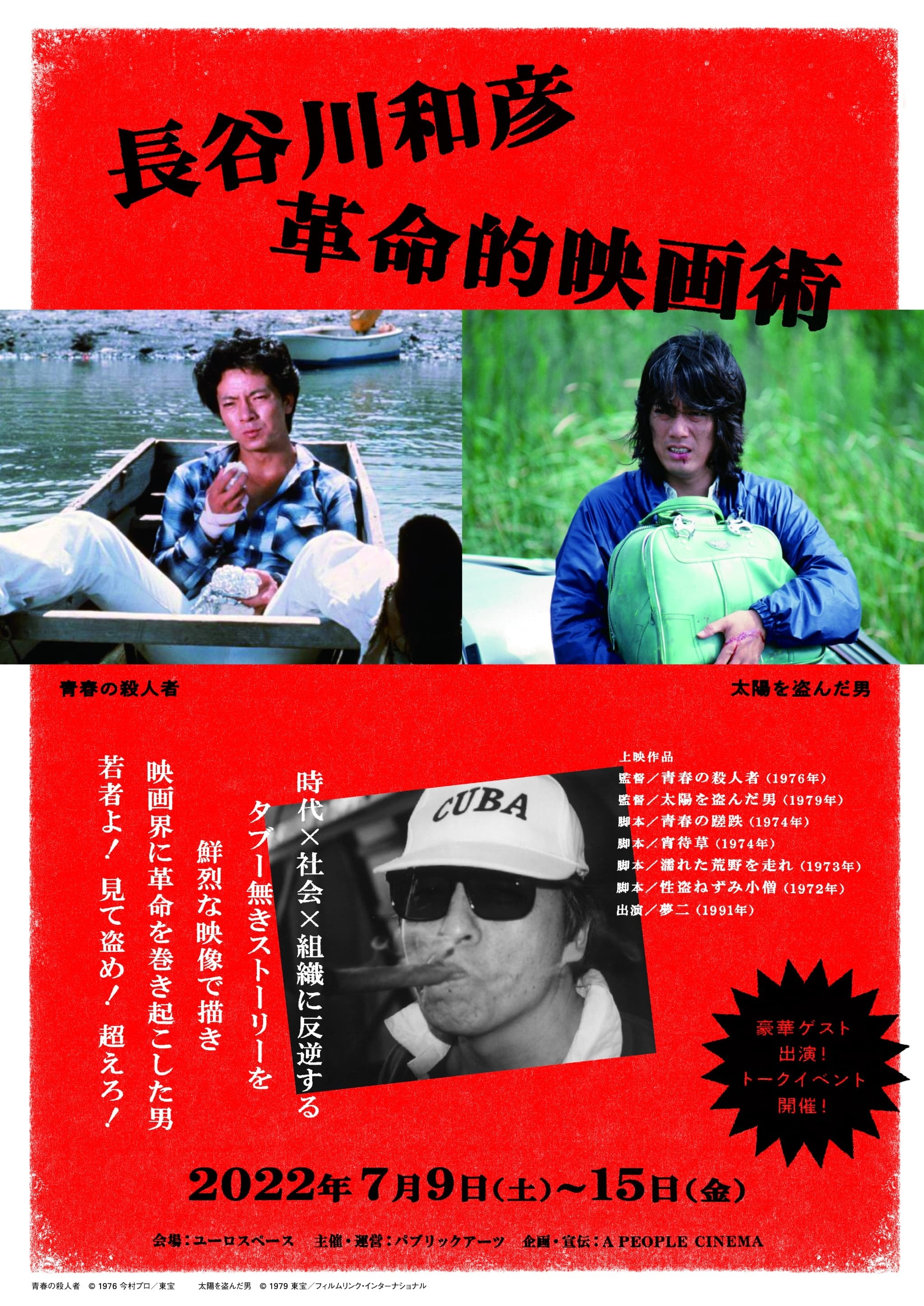 青春の蹉跌B2サイズポスター 1974年