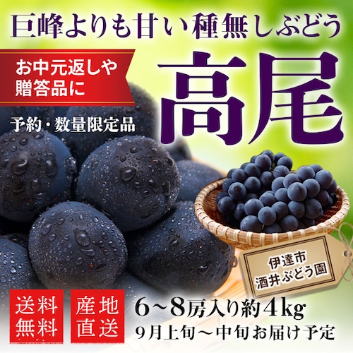 【予約品】９月上旬～中旬 お届け 数量限定 送料無料 産直 ぶどう 巨峰 より甘い 高尾 ６～８房入り 約４kg