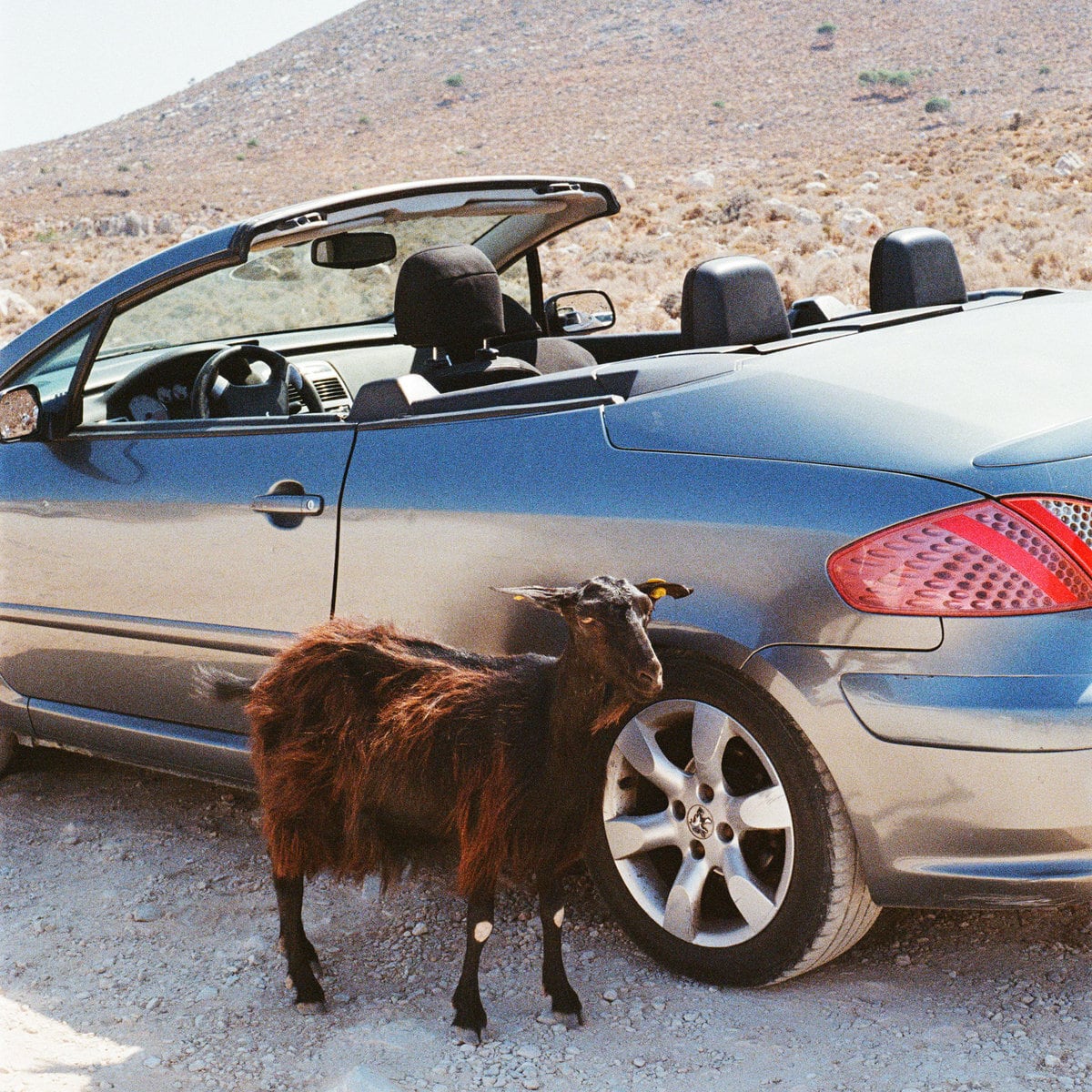 【予約商品 / 2.27 Release】EXEK / Prove The Mountains Move(LP)