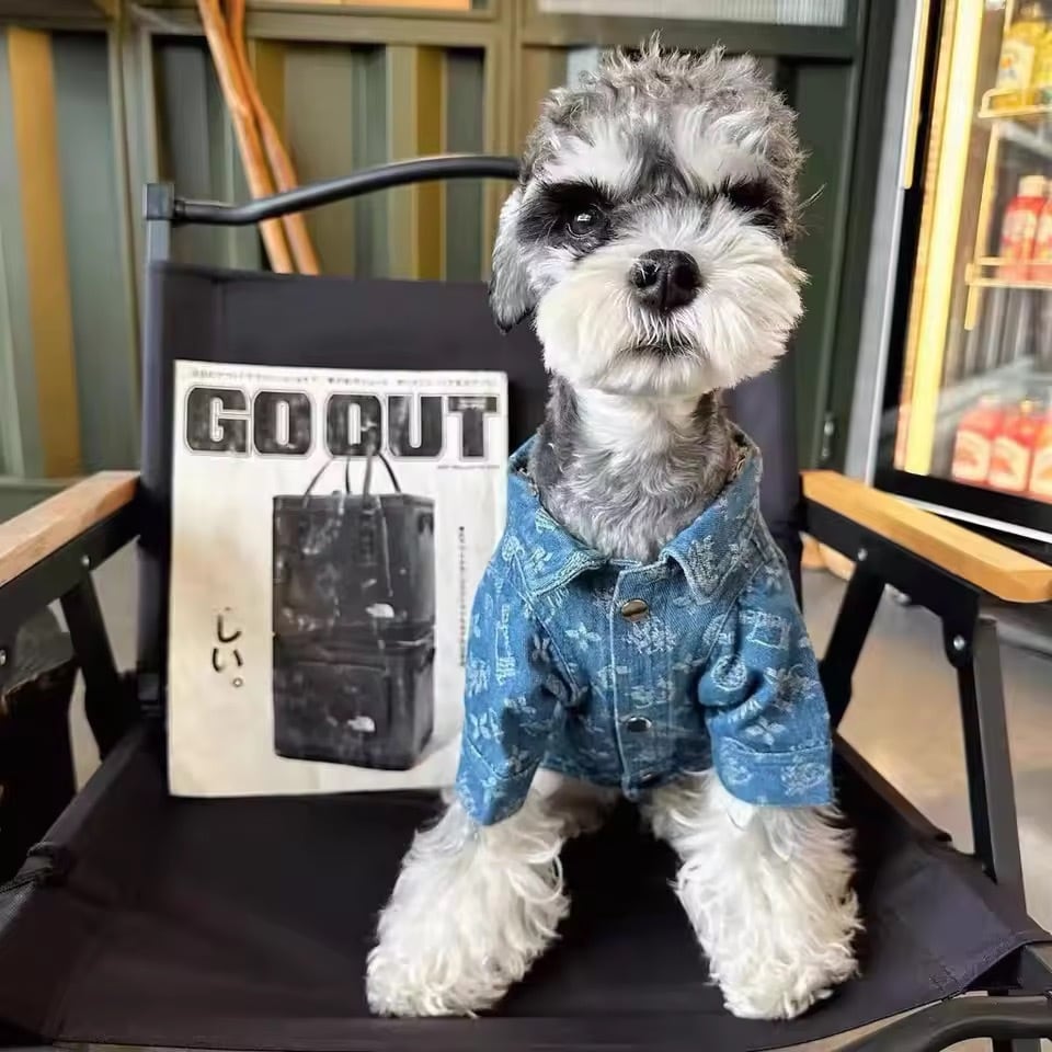 【専用出品】デニムジャケット 505ZXX デニムジャケット Gジャン セットアップ セルビッジ|EDWIN