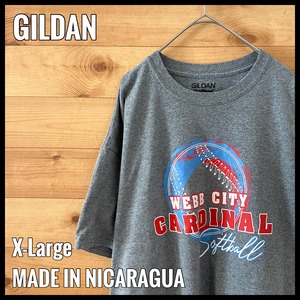 【GILDAN】ソフトボール webb city cardinal プリント Tシャツ XL ビッグサイズ US古着