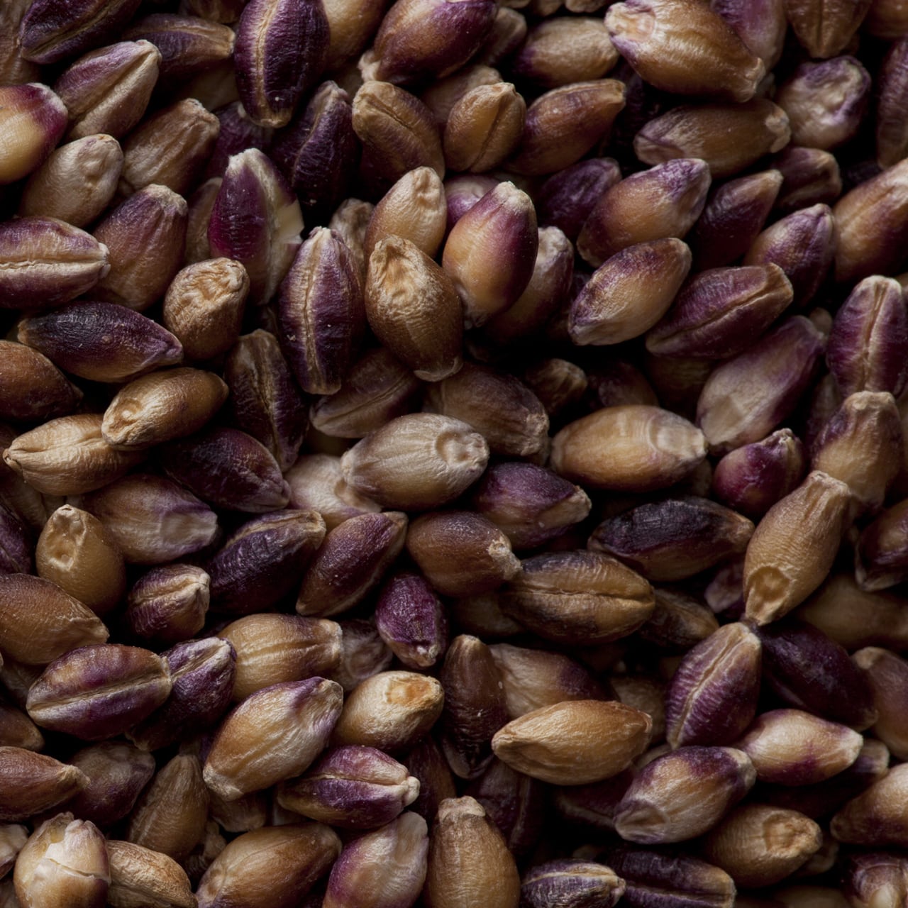 もち麦800g×3袋 | フェルマ木須オンラインショップ