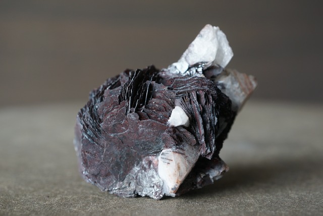 アイアンローズ/クォーツ Iron Rose/Quartz 1649