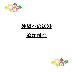 沖縄への送料追加料金