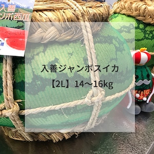 入善ジャンボスイカ【2L】14～16kg（送料込/税込）