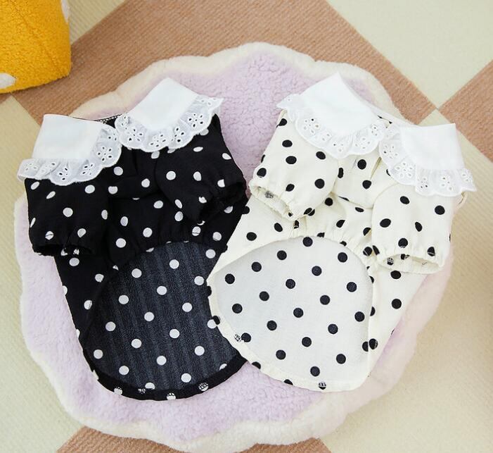 【即納】№1102803 襟付きドットのトップス