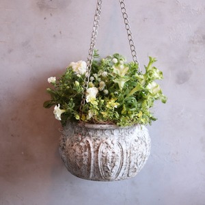 寄せ植え　ペチュニアロイヤルミルクティの寄せ植え｜届いてすぐ飾れる完成品｜玄関にオススメ｜新築・開店祝いギフト｜モンディマンシェ