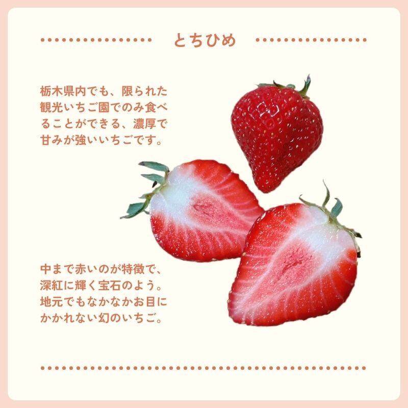 いちご③ 桐箱入り] - 尊い苺 - 猪野さんちのいちご3種セット（とちひめ・とち