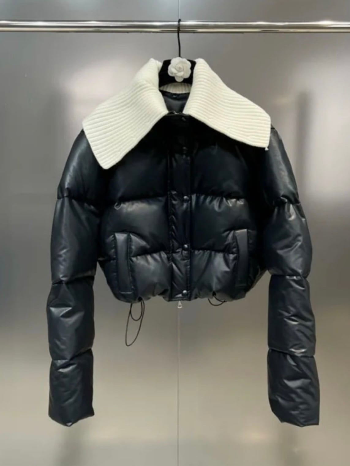 Moning glory《 即日発送 》