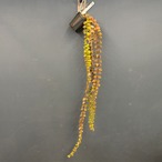 コルムネア microphylla【333】