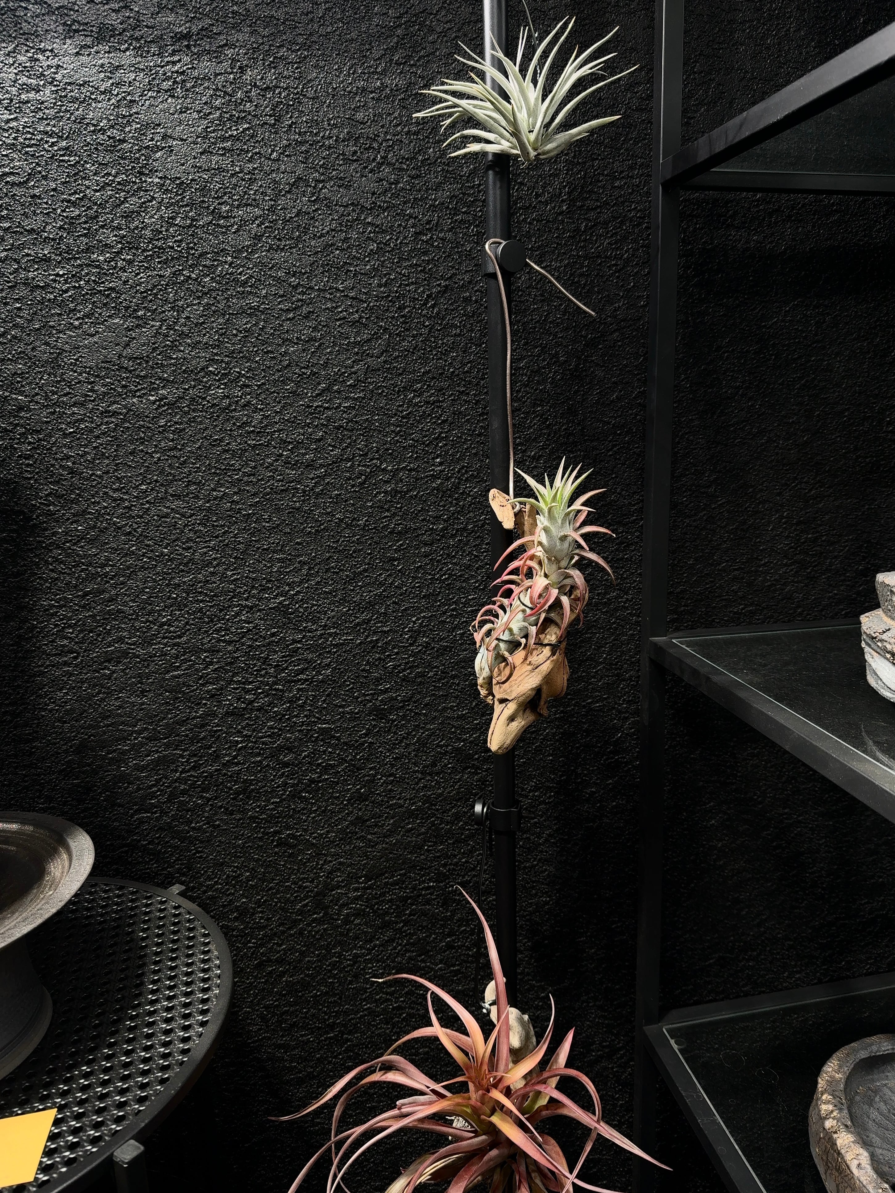 CLAMP LAMP SOCKET 専用クランプリング