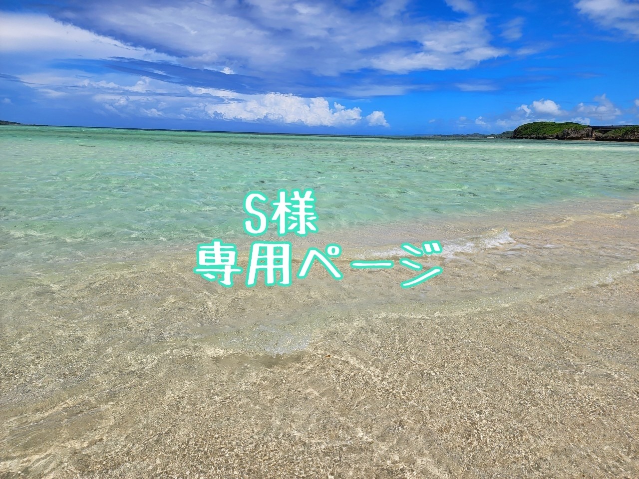 S様専用ページ