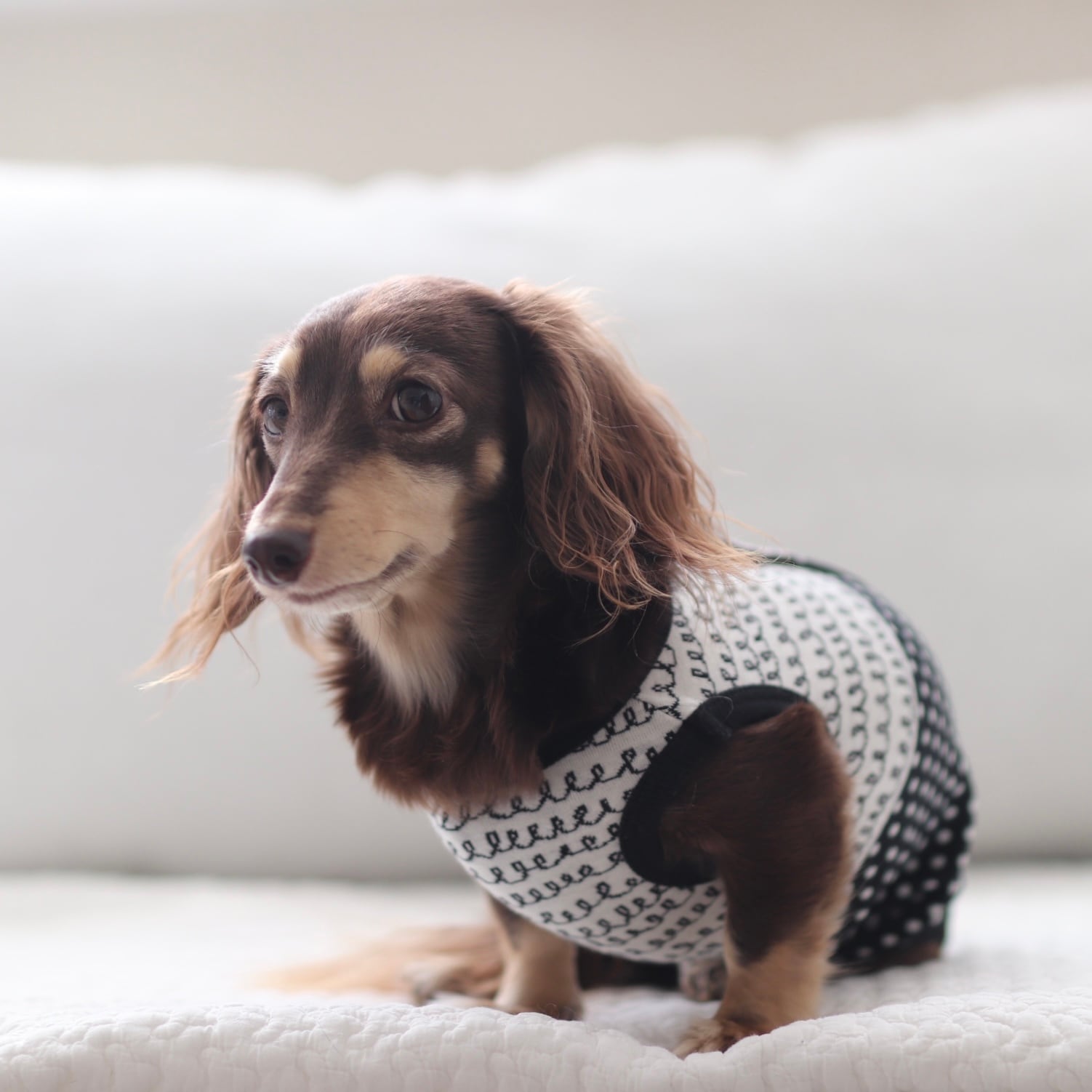 術後服になるロンパース（女のコ）モノトーン | カニンヘンダックスと