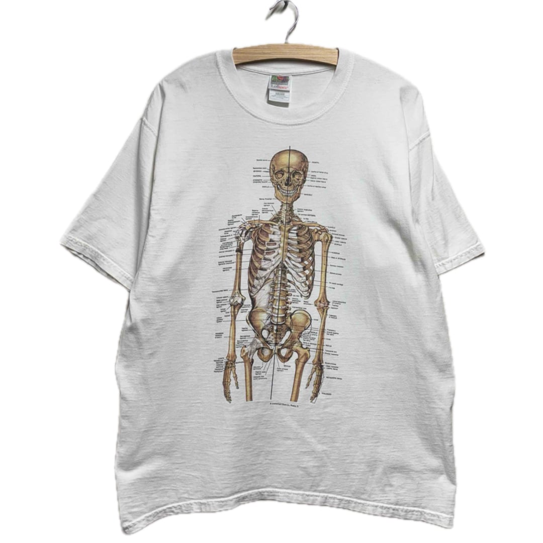 90s Anatomical Chart 骨格図 Tシャツ メンズL 90s Anatomical Chart 骨格図 Tシャツ メンズL | vimfurugi