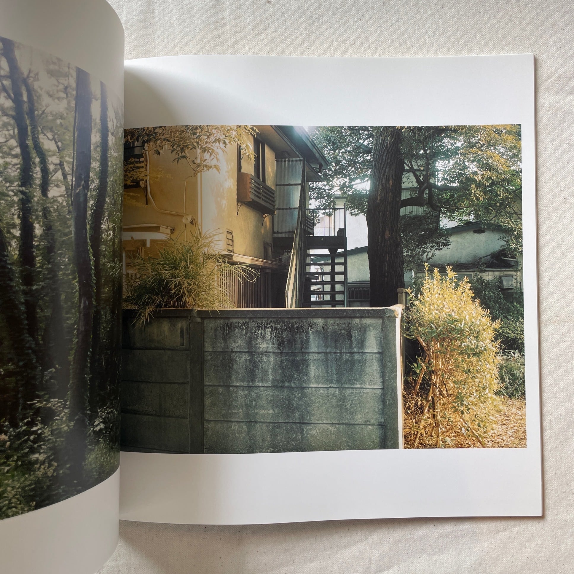 光と重力 / 今井智己 | 汀線