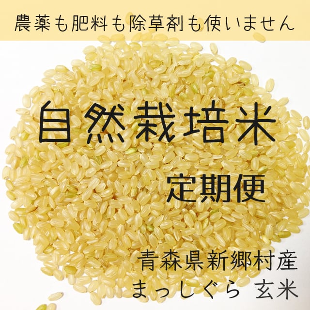 自然栽培もち米 あかりもち【玄米】1kg（青森県産） | 自然栽培物語