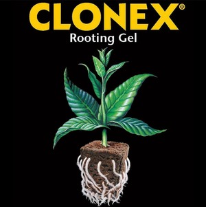 Clonex Rooting gel 5ml クロネックス　ルーティングジェル　発根剤　