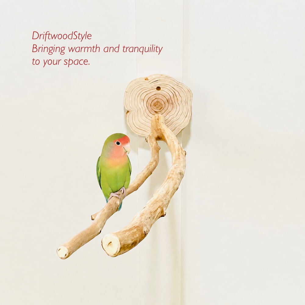 流木の止まり木 取り外しができる止まり木スタンド Mサイズ インコ