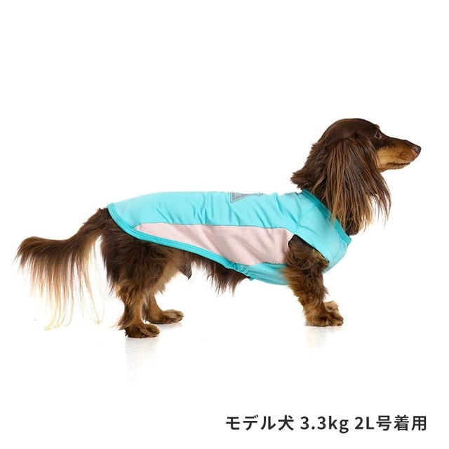 COOLマウンテンロゴタンク [サイズ: 1号] [カラー: ブルー]