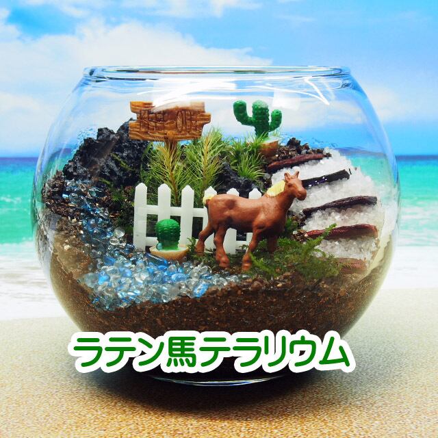 苔テラリウム・手作りキット一式】馬とサボテン | 工房・津軽moss