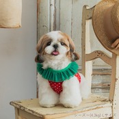 ＼ LLサイズ登場！／ 冷感いちごハーネス