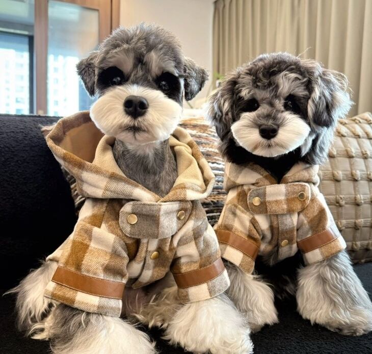 《即納》№1103148 チェックコート