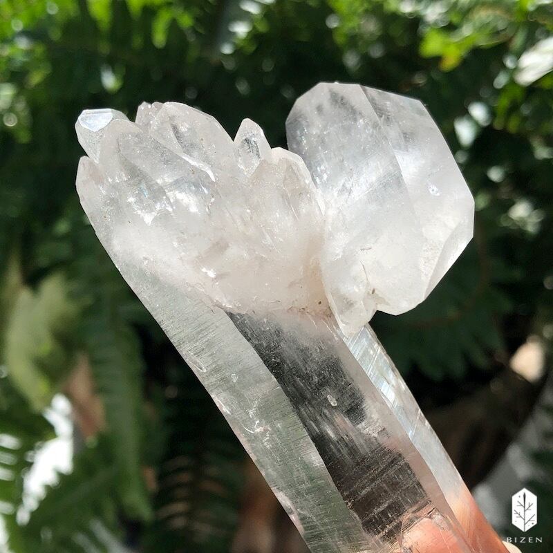 マニハール水晶 サボテンさん♪ | BIZEN Crystals