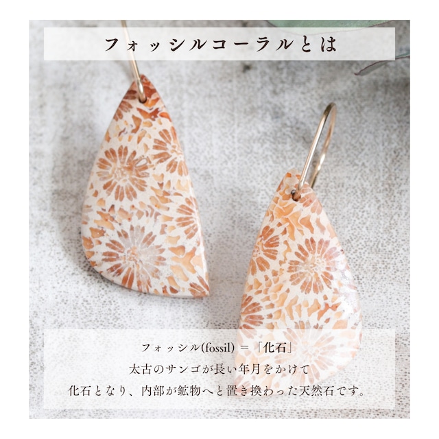 時間を纏う・花模様の天然石ピアス｜フォッシルコーラル 菊目石 グレー 三角形 一点もの 14kgf 大人 金属アレルギー対応