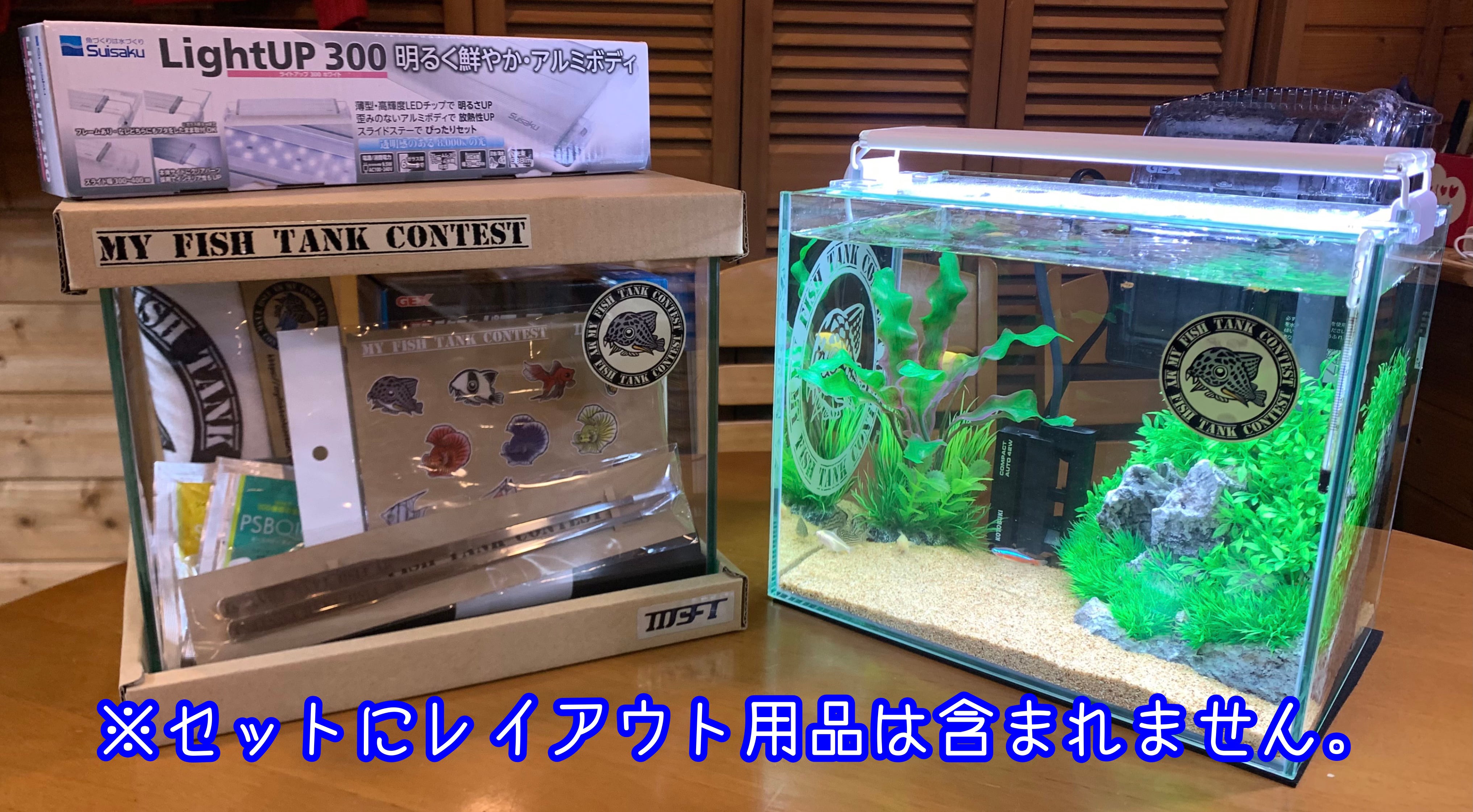 Mftc Official 初心者応援 オリジナル熱帯魚飼育セット Mftc Official Shop
