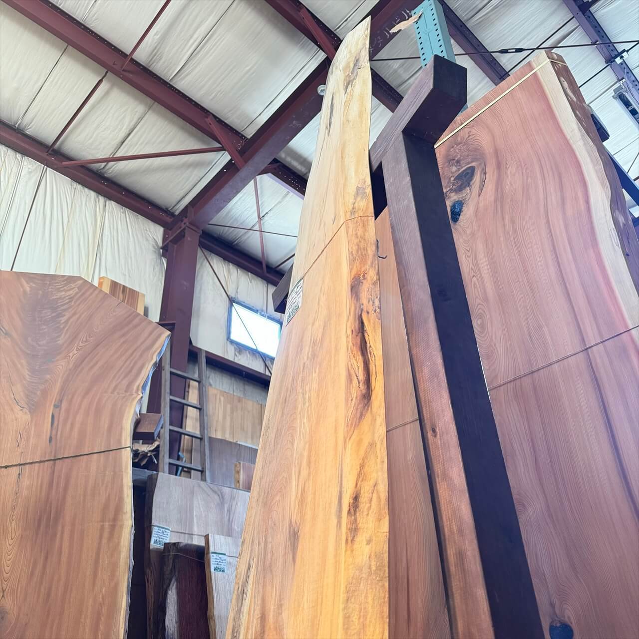 シナ一枚板【岩手】2050×100~450×47㎜【オイル塗装 仕上げ済み】 | 木