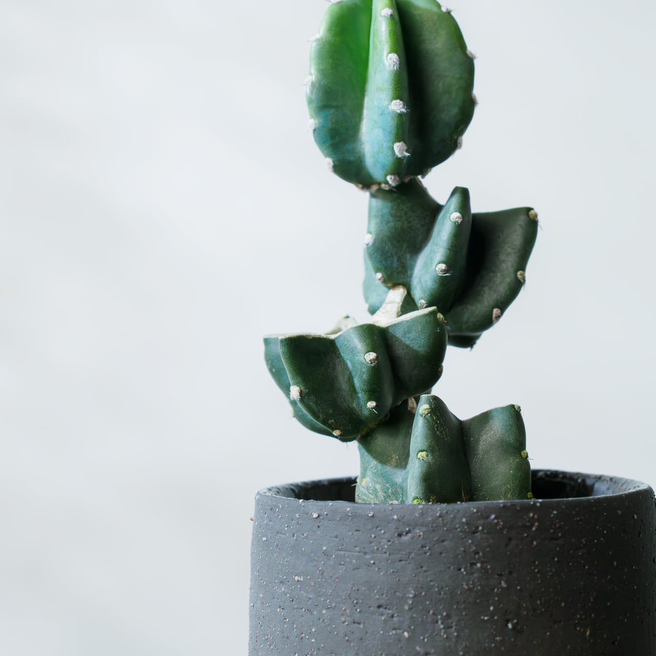 ⭐nobby⭐様 リクエスト 4点 まとめ商品 ﾎﾞﾋﾞｶｰｺﾞ用宅配錠 非常開錠キー付 | すべての商品 | セキスイ