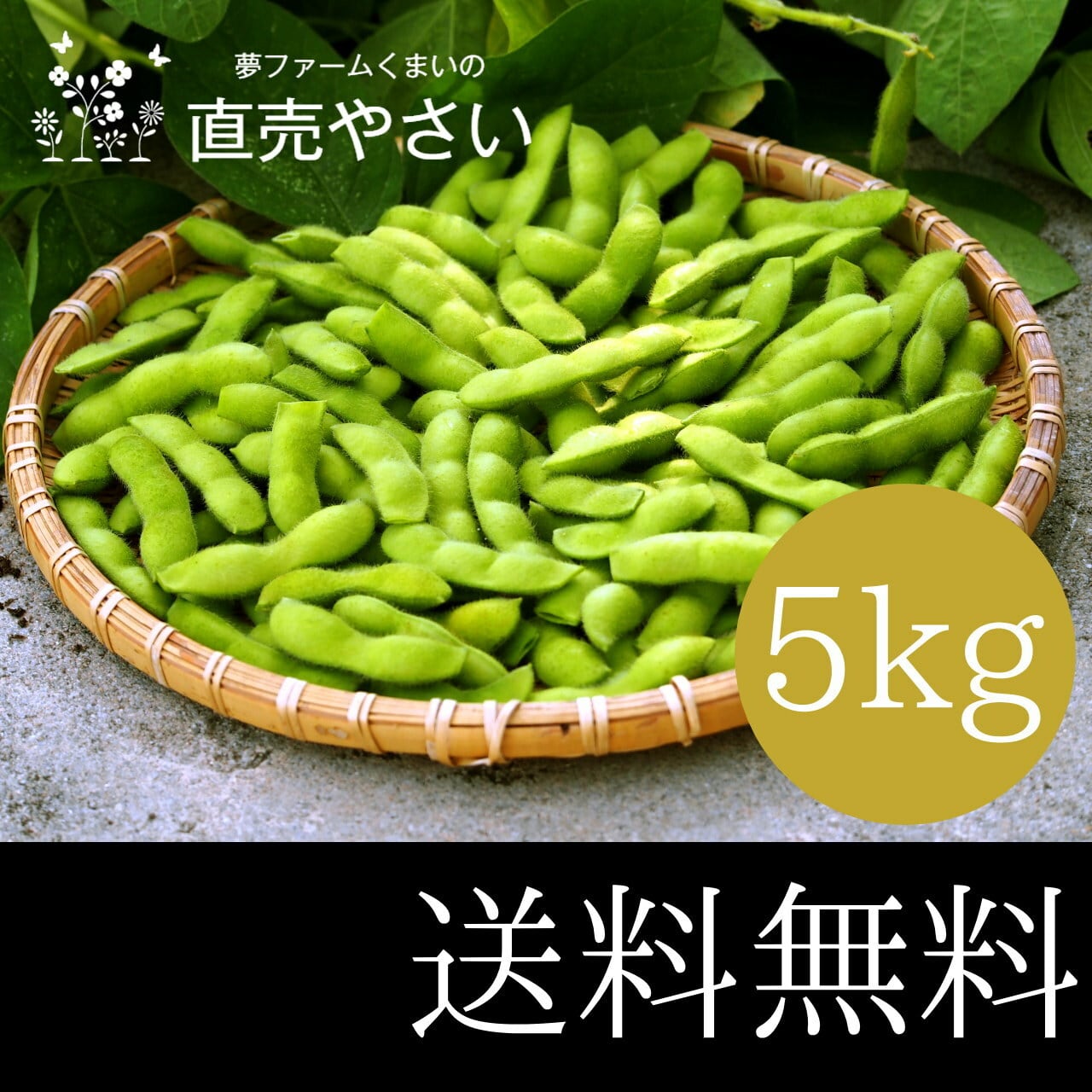 枝豆 大量 5kg 送料無料 やさい 夏野菜 新潟系14号 新潟産えだまめ