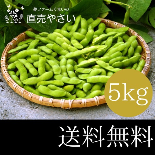 枝豆 大量 5kg 送料無料 やさい 夏野菜 新潟系14号 晩酌茶豆 新潟産えだまめ 冷蔵