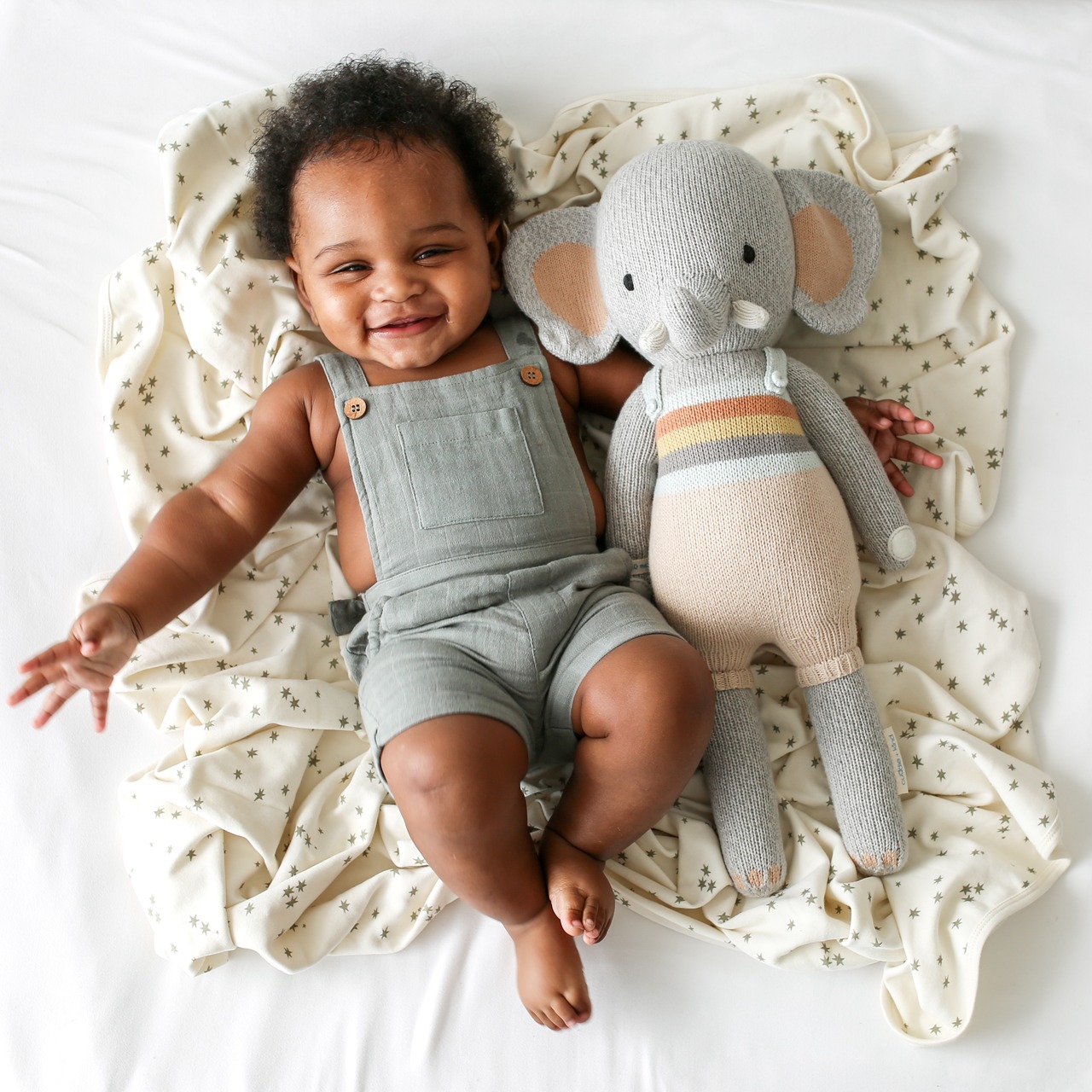 【レギュラー】cuddle+kind  「ゾウのエヴァン」