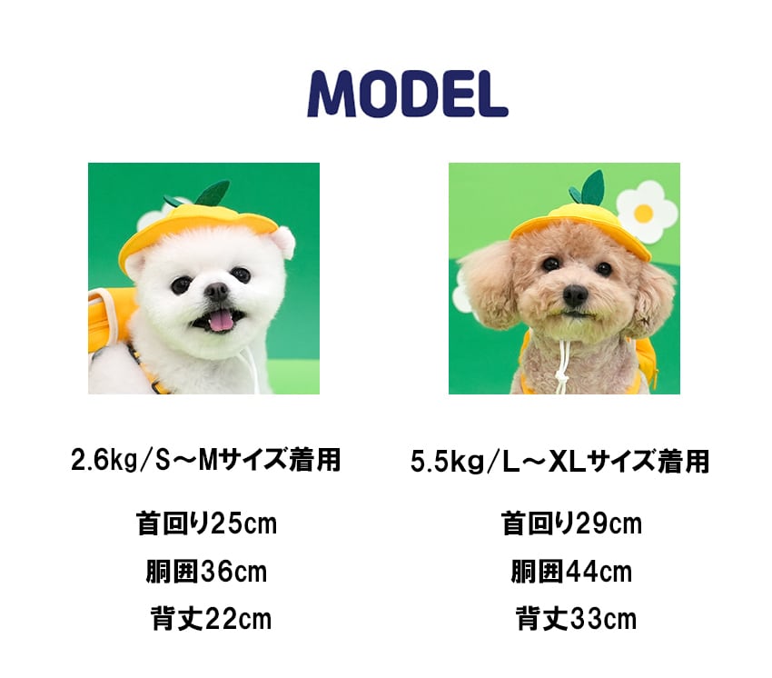 kindergarden backpack harness set / 犬 犬用 ハーネス バッグ 帽子