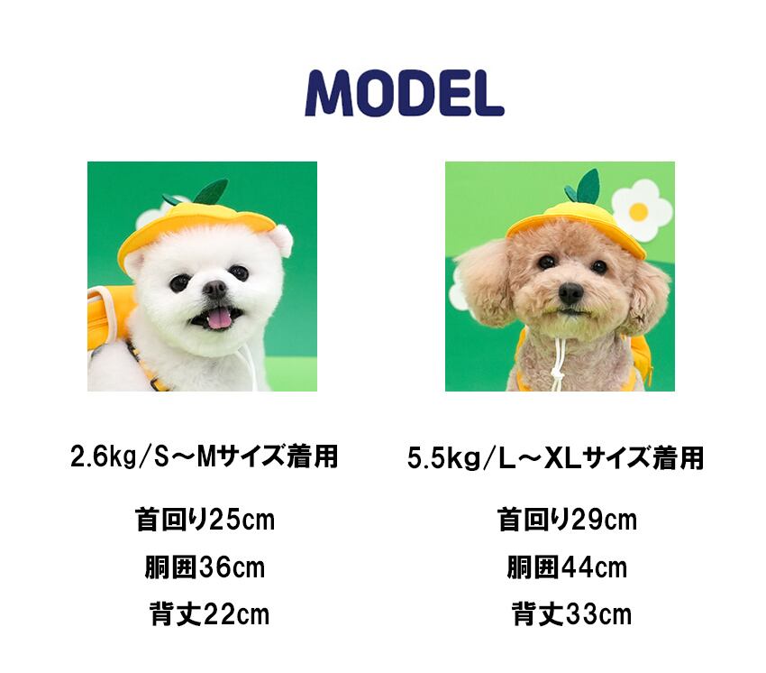 kindergarden backpack harness set  /  犬 犬用 ハーネス バッグ 帽子 リード お出かけ 小型犬 中型犬 ドッグウェア ペット用品 アクセサリー 胴輪 ha14