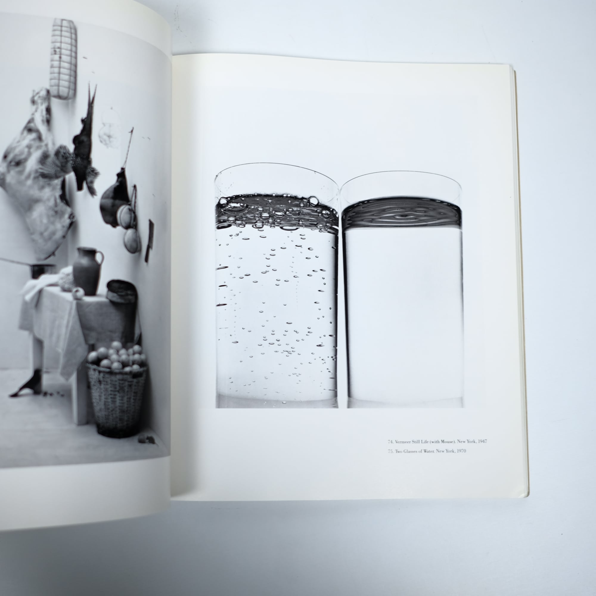 Irving Penn Szarkowski アーヴィング・ペン 洋書 写真集 Irving Penn Szarkowski アーヴィング・ペン 洋書 写真集